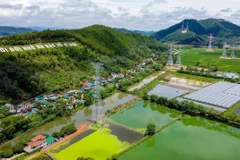 Thi công kéo dây đoạn Quảng Trạch-Quỳnh Lưu trên địa bàn huyện Nam Đàn, Nghệ An. (Ảnh: Huy Hùng/TTXVN)