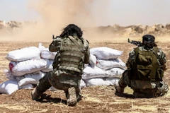 Đức bắt giữ nghi phạm dẫn đầu nhóm phiến quân Syria