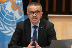 Tổng giám đốc WHO thăm khu vực hứng chịu động đất ở Tây Bắc Syria