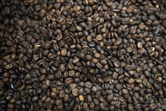 Ảnh minh họa. (Nguồn: AFP/TTXVN)