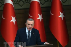 Tổng thống Thổ Nhĩ Kỳ Recep Tayyip Erdogan phát biểu tại thủ đô Ankara. (Ảnh: AFP/TTXVN)