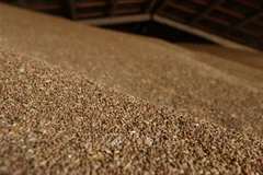 Ảnh minh họa. (Nguồn: AFP/TTXVN) 