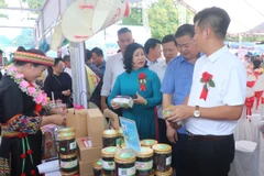 Các đại biểu tham quan các gian hàng tại ngày hội. (Ảnh: Vũ Hoàng Giang/TTXVN)