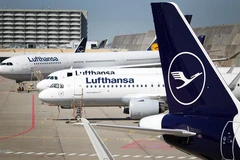 Các máy bay của Hãng hàng không Lufthansa đậu tại sân bay ở Frankfurt am Main, Đức. (Ảnh: AFP/TTXVN) 