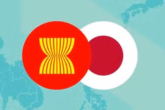 (Ảnh minh họa: TTXVN)