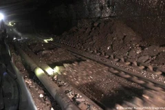 Ảnh minh họa. (Nguồn: dw) 