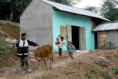 Ảnh minh họa. (Nguồn: TTXVN) 