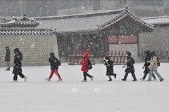 Cơ quan Khí tượng Hàn Quốc cảnh báo rét đậm, rét hại tại Incheon