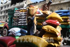 Pakistan chịu tác động lớn từ cuộc khủng hoảng Ukraine khi nhập khẩu tới 40% sản lượng ngũ cốc cần thiết từ Nga. (Ảnh: AFP/ TTXVN)