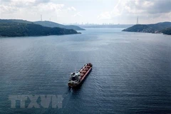 Diễn biến mới của thỏa thuận Sáng kiến Ngũ cốc Biển Đen