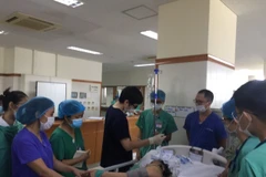 Ảnh minh họa (Nguồn: TTXVN)