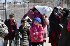 Ảnh minh họa.(Nguồn:THX/TTXVN)