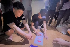 Quảng Bình: Bắt giữ các đối tượng tàng trữ trái phép chất ma túy