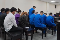 Phạt tù nhóm đối tượng trong vụ làm giả giấy phép lái xe
