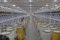 Ảnh minh họa (Nguồn: AFP/TTXVN)