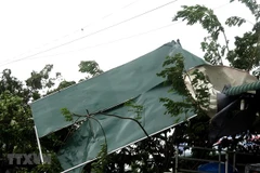 Ảnh minh họa. (Nguồn: TTXVN) 