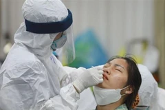 Ảnh minh họa. (Nguồn:TTXVN)