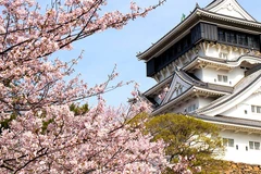 Kitakyushu là thành phố của Nhật Bản dự kiến đăng cai hội nghị thường niên này hồi năm ngoái. (Nguồn: Reuters.)