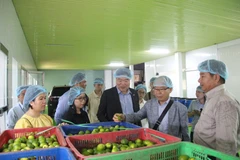 Doanh nghiệp Hàn Quốc kết nối giao thương với doanh nghiệp Long An