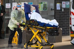 Ảnh minh họa (Nguồn: AFP/TTXVN)