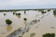 Lượng mưa lớn đã khiến một con đập bị vỡ, tàn phá một vườn thú thuộc sở hữu nhà nước. (Nguồn: AFP)