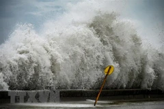 Bão Norma mạnh lên, hướng tới bán đảo Baja California của Mexico