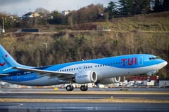 Boeing 737 MAX.(Ảnh: The Independent)