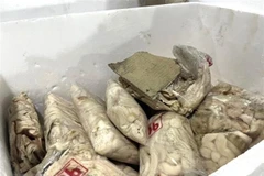 Cần Thơ: Phát hiện 200 kg thịt trâu, bò đông lạnh không rõ xuất xứ