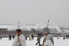 Hàn Quốc: Giá rét bao trùm Seoul