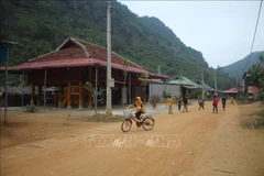 Ảnh minh họa. (Nguồn: TTXVN)