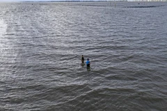 Ảnh minh họa.(Nguồn: GettyImages)