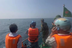 Ảnh minh họa. (Nguồn: TTXVN) 