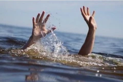 Ảnh minh họa (Nguồn: TTXVN)