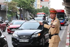 (Ảnh: Phạm Kiên/TTXVN) 