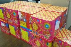 Nổ pháo hoa tại Trung Quốc, ít nhất 4 người thiệt mạng