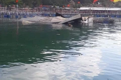 Nhà hàng bè nổi Minh Tố bị hỏa hoạn thiêu rụi chỉ còn lại mái tôn nổi lềnh bềnh trên mặt nước. (Ảnh: CAND)