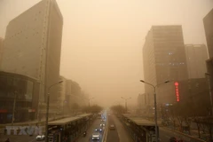 Ảnh minh họa (Nguồn: AFP/TTXVN)