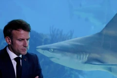 Phát biểu tại cuộc họp toàn thể ngày 1/7, 