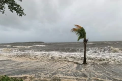 Bão Fiji gây mưa to và gió lớn trên quốc đảo Fiji. (Nguồn: nzherald.co.nz)
