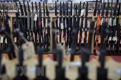 Ảnh minh họa (Nguồn: AFP/TTXVN)