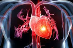 Ảnh minh họa. (Nguồn: TTXVN)