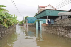 Sau những trận mưa lớn xảy ra vào chiều ngày 20/9, nhiều tuyến đường và khu dân cư trên địa bàn huyện Diễn Châu, Nghệ An đã bị ngập nặng, sâu đến hơn 0,5m. (Ảnh: Xuân Tiến/TTXVN)