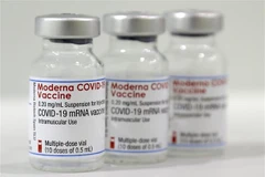 Vắcxin ngừa COVID-19 của Moderna. (Ảnh: AFP/TTXVN) 