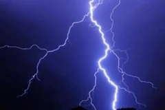 Ảnh minh họa (Nguồn:TTXVN)