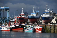 Ảnh tư liệu. (Nguồn: AFP/TTXVN) 