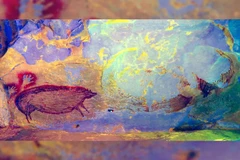 Toàn cảnh bức tranh hang động cổ nhất thế giới ở Leang Tedongnge, ở Sulawesi, Indonesia. (Ảnh: AA Oktaviana.)