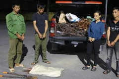 Bắt giữ nhóm đối tượng trộm cắp cáp điện trên cao tốc Vân Đồn-Móng Cái.(Nguồn: HT)