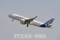 Ảnh minh họa. (Nguồn: AFP/TTXVN)