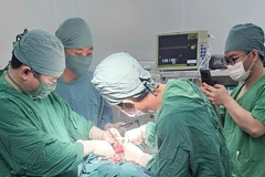 Bác bác sỹ Bệnh viện Đa khoa thành phố Cần Thơ phẫu thuật tạo hình cho nạn nhân. (Ảnh: TTXVN) 