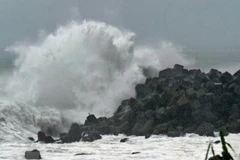 Ảnh minh họa. (Nguồn: Kyodo/TTXVN) 